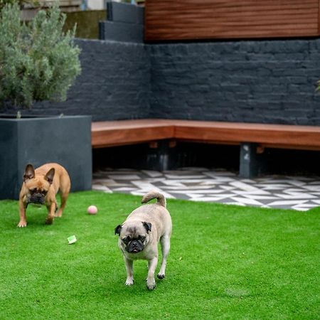 Doghouse Margate Bed and Breakfast Exteriör bild