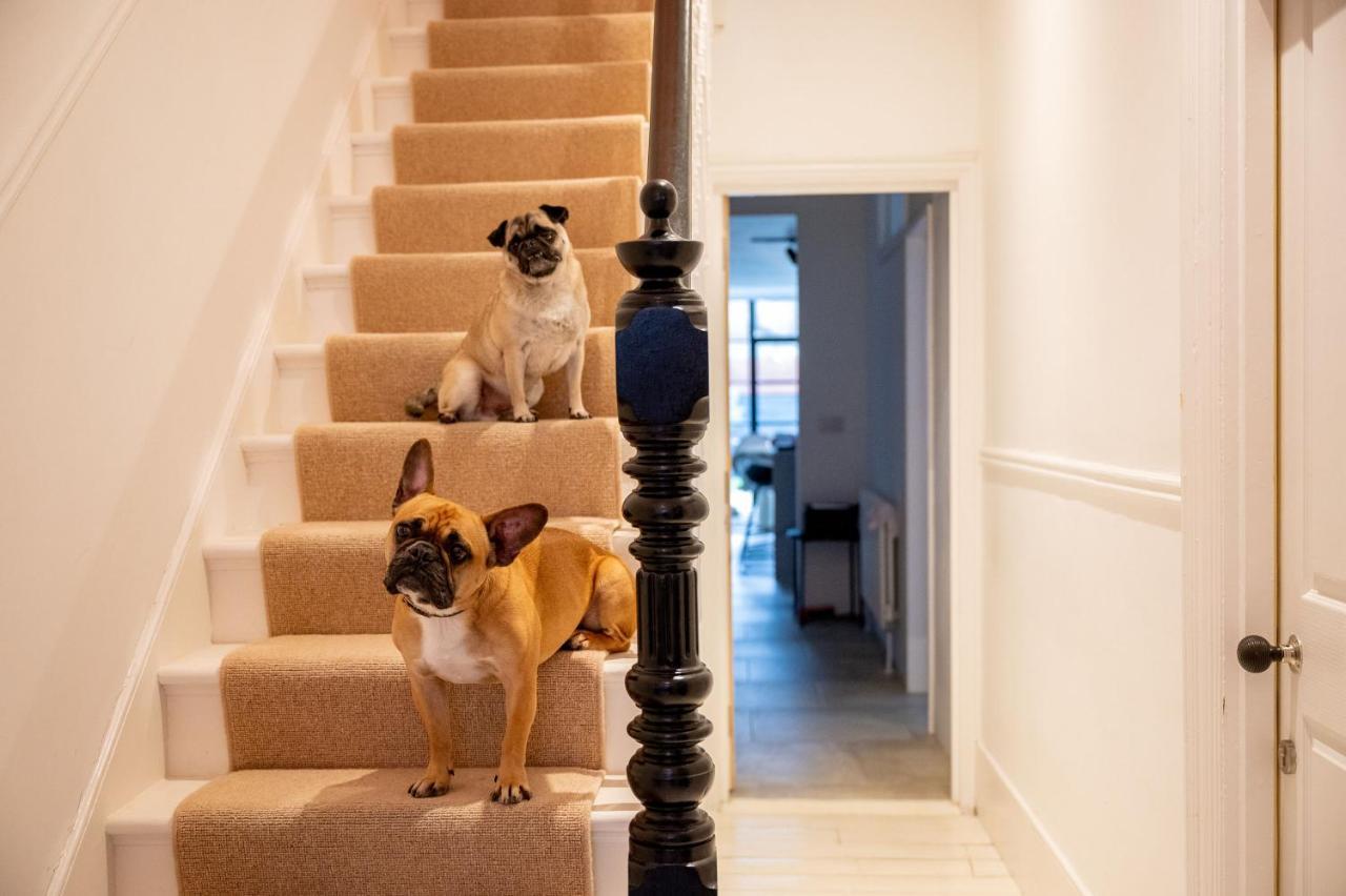 Doghouse Margate Bed and Breakfast Exteriör bild